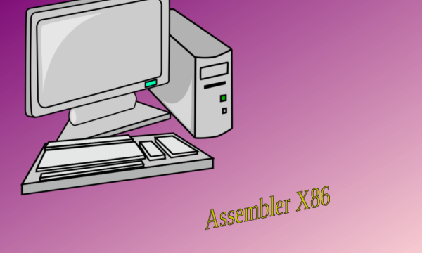 Appunti di Assembler x86
