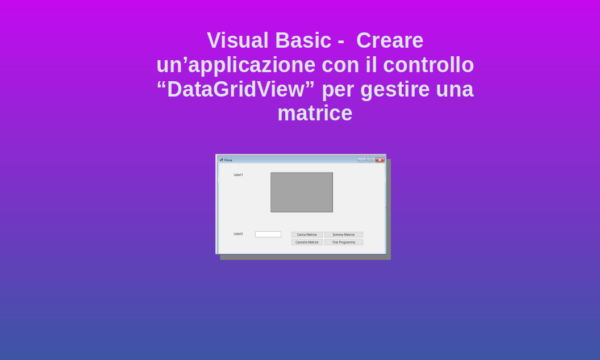 Gestire il DataGridView in Visual Basic