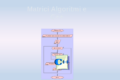 Guida  sulle matrici e uso in  C++